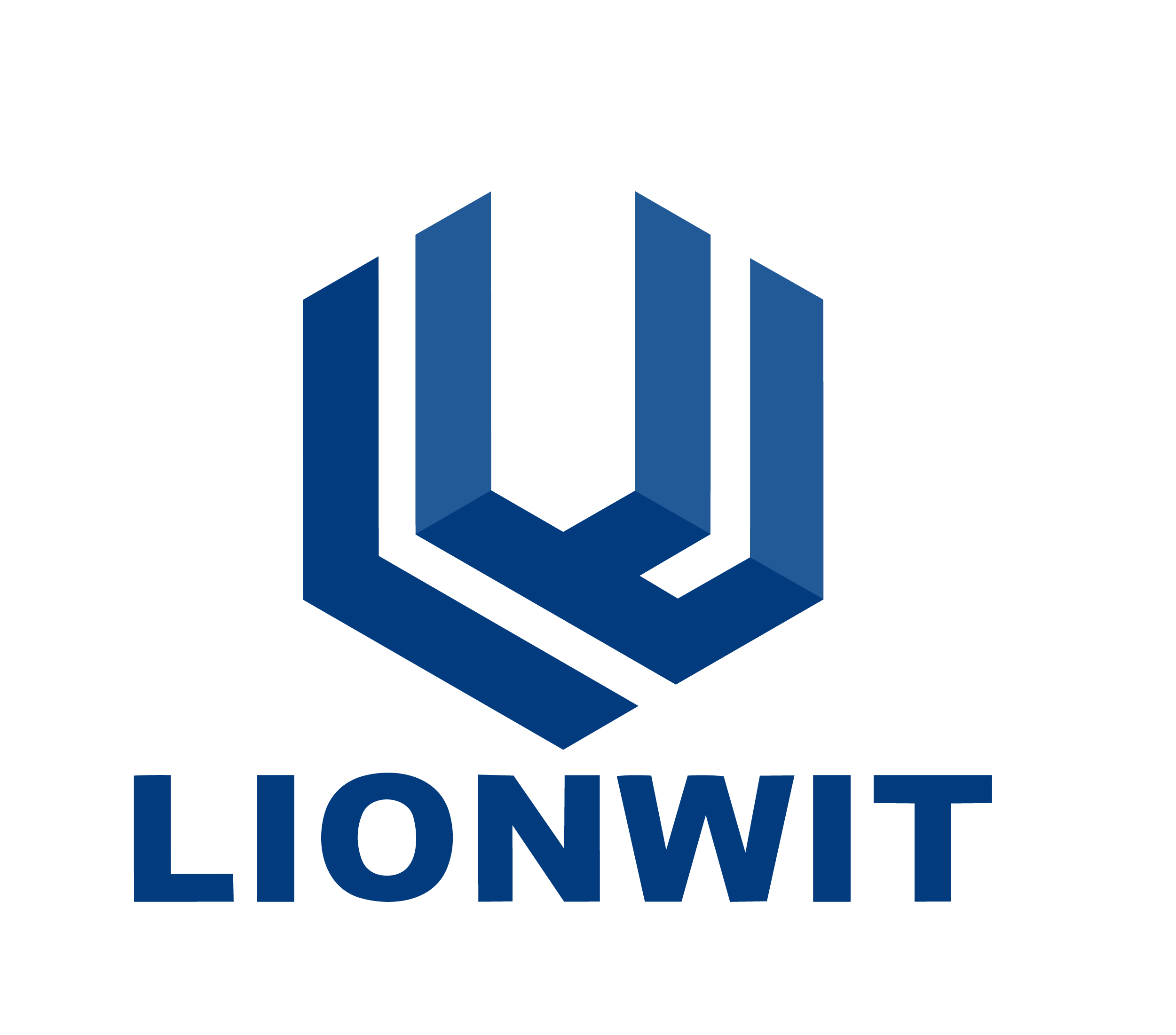 LIONWIT